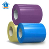 Galvanized Color Coated Steel Coil for Construction